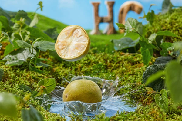 Application and development trend of monk fruit extract